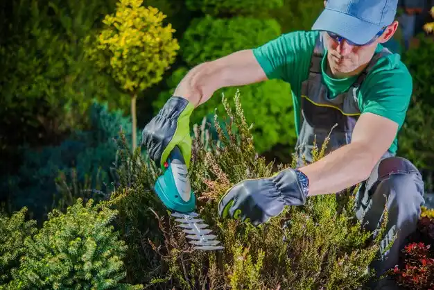 landscaping services Alpena
